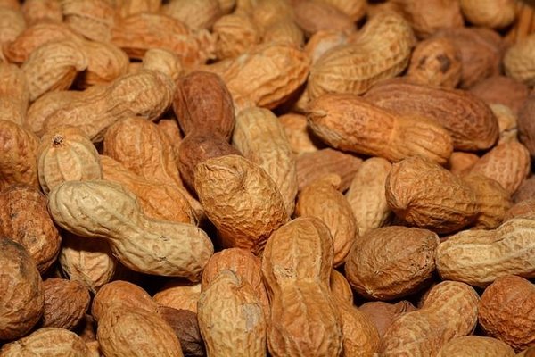 L'essentiel à savoir sur la consommation des cacahuètes le soir